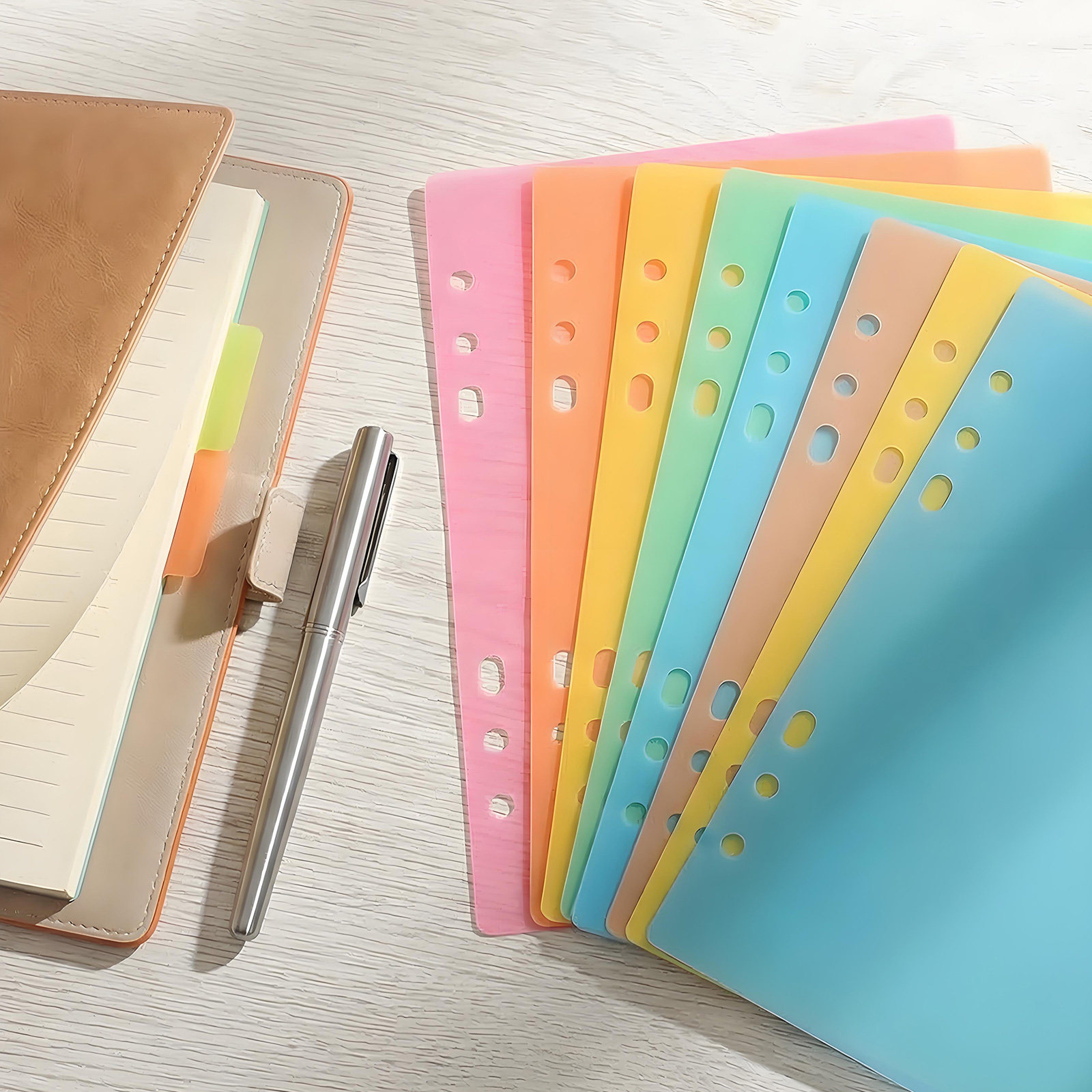 Index Tab Divider - Set di 10 divisori per indici