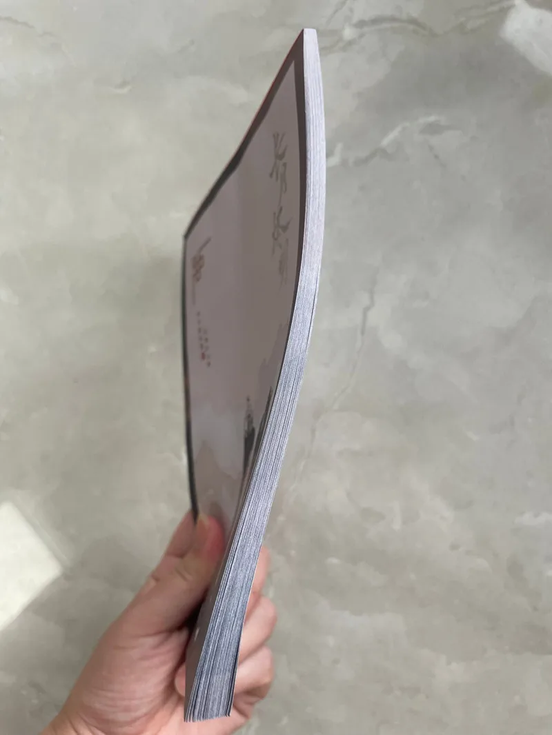 Luo Yunxi Simpatiche note ades - Tan Stationery & Office Supply recensione e prezzo