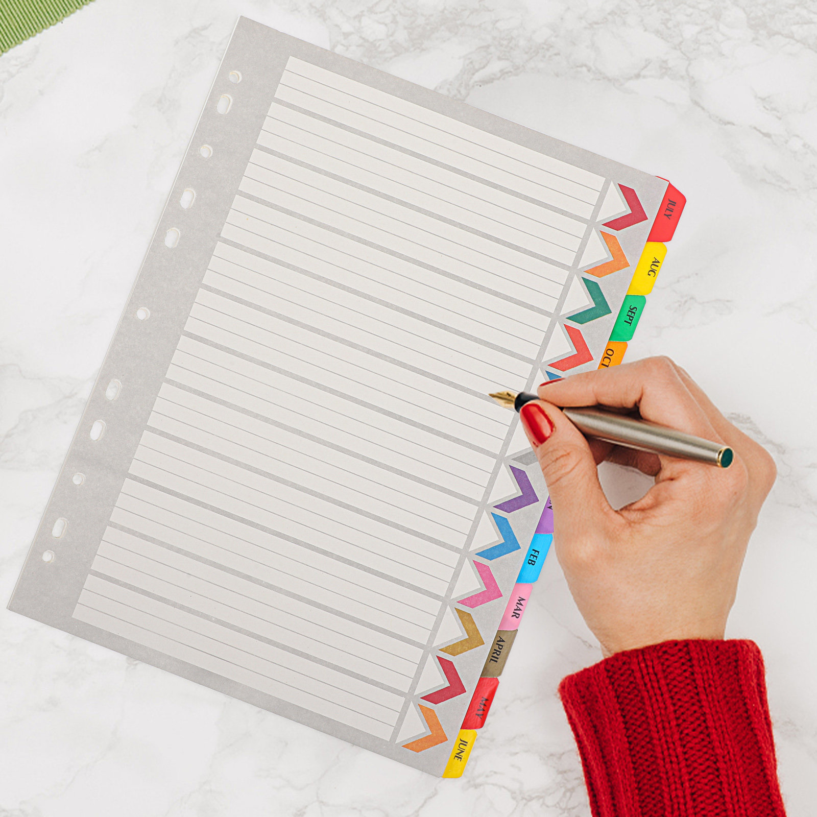 12 Fogli Divisori per Raccogli - Index Tab Divider recensione e prezzo
