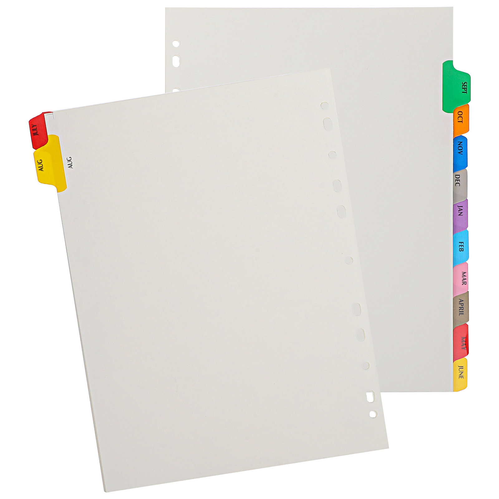 12 Fogli Divisori per Raccogli - Index Tab Divider recensione e prezzo