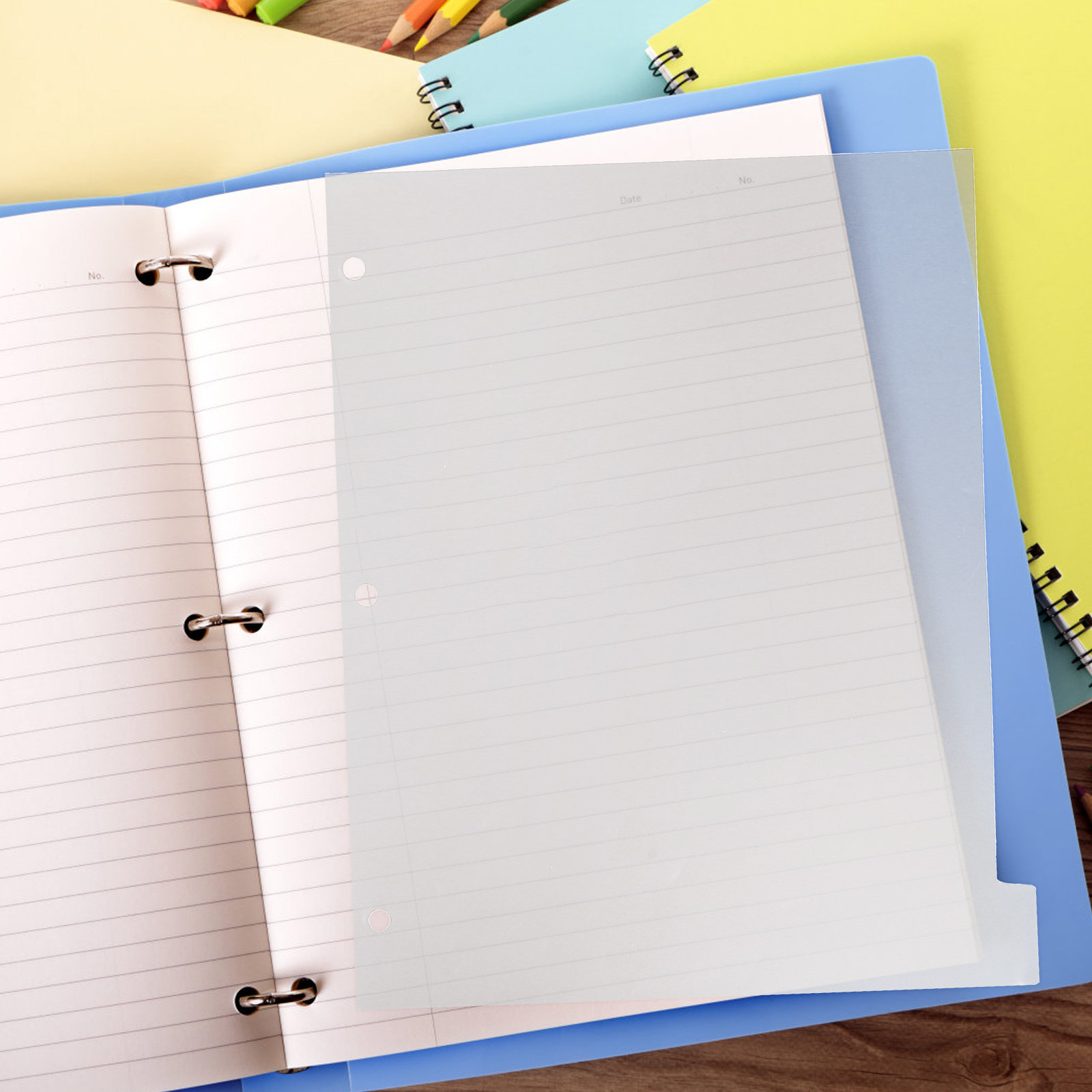 8 Divisori per Indici in Plast - Index Tab Divider recensione e prezzo