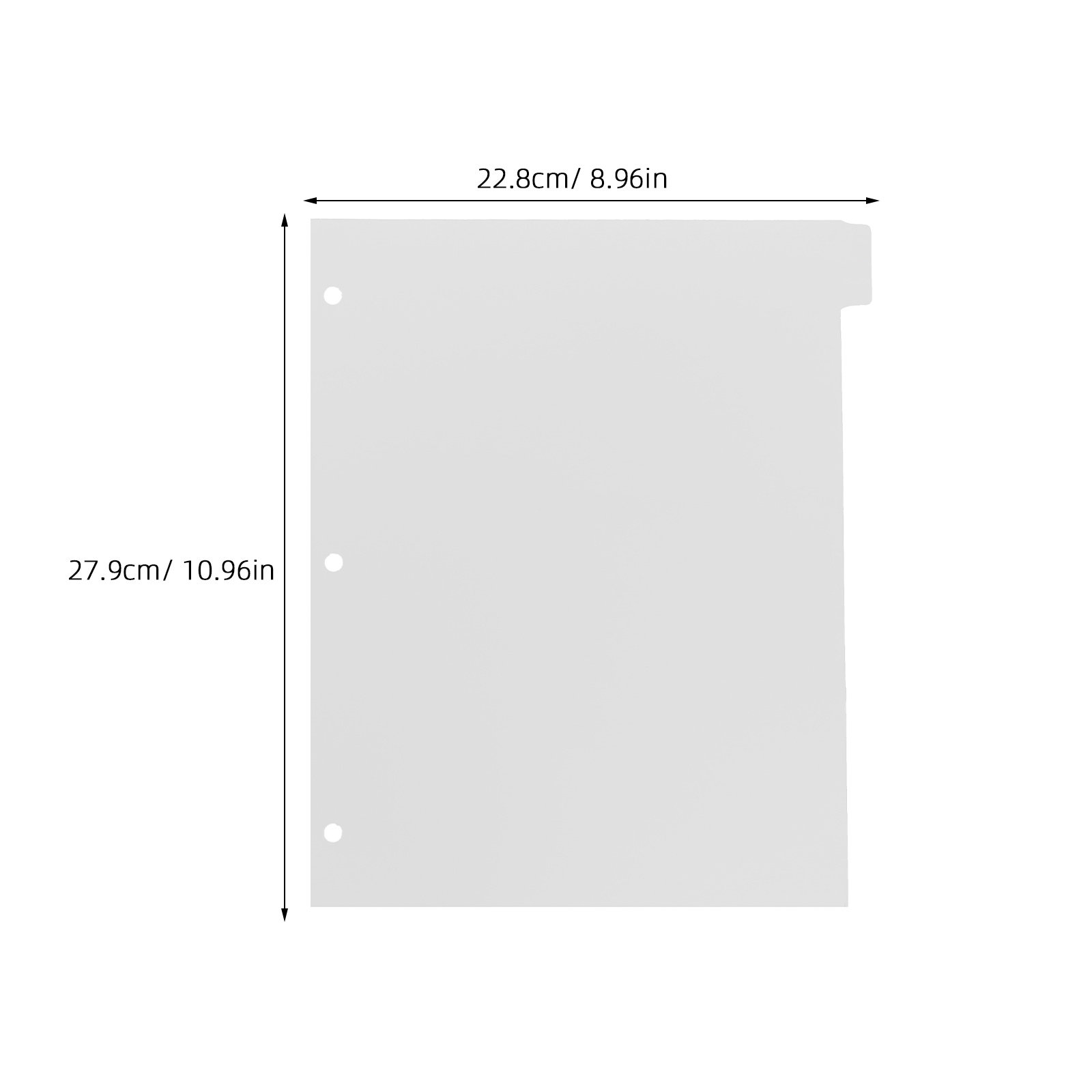8 Divisori per Indici in Plast - Index Tab Divider recensione e prezzo